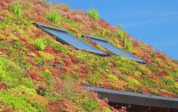 Devon living roof systems