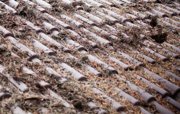 Devon roof cleaning companies