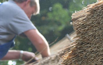 professional Devon thatchers