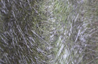 Devon fibreglass roof work